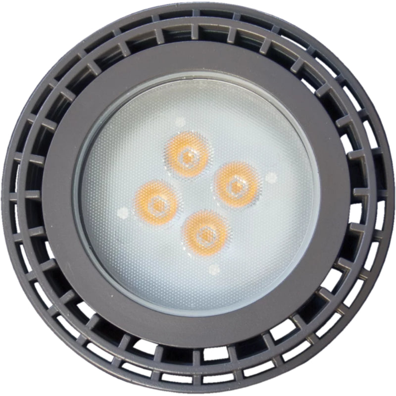 Brilliance PAR36 LED Lamp