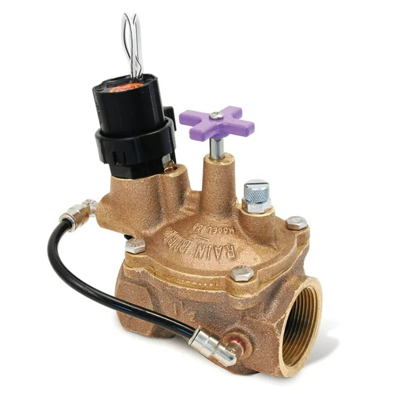 Rain Bird 100EFBCP - 1 in. Brass Irrigation Valve (B32553) - Lighting Disty - B32553